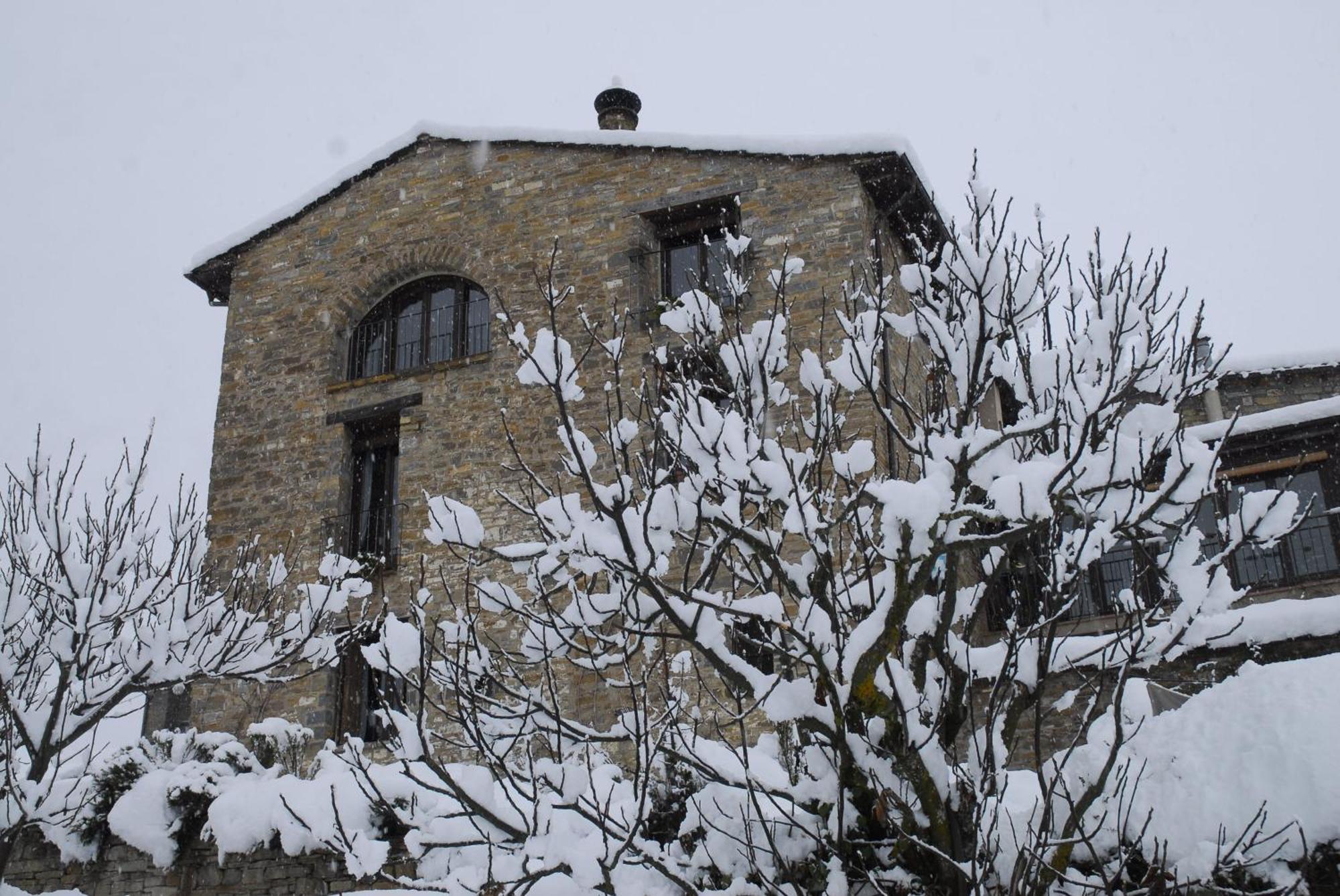 O Chardinet D'A Formiga Casa de hóspedes Aínsa Exterior foto